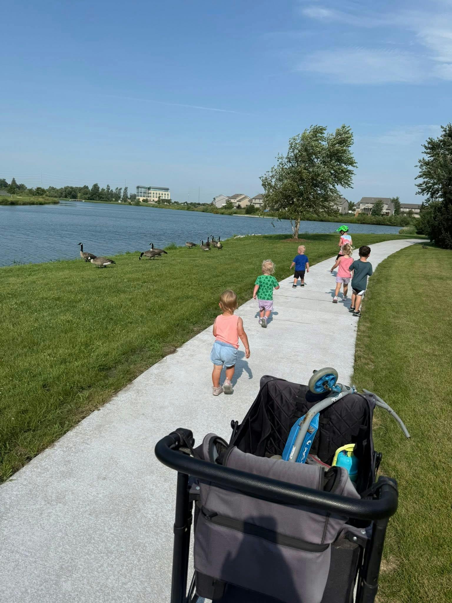 Children walking on a path next to a lake with geese