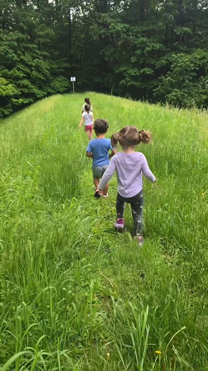 Children walking in a line through tall grass