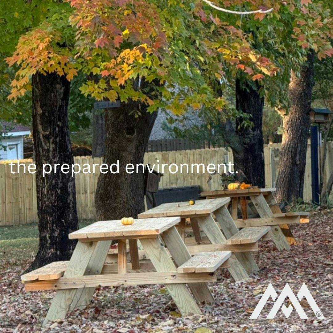Three wooden picnic tables under trees with autumn leaves