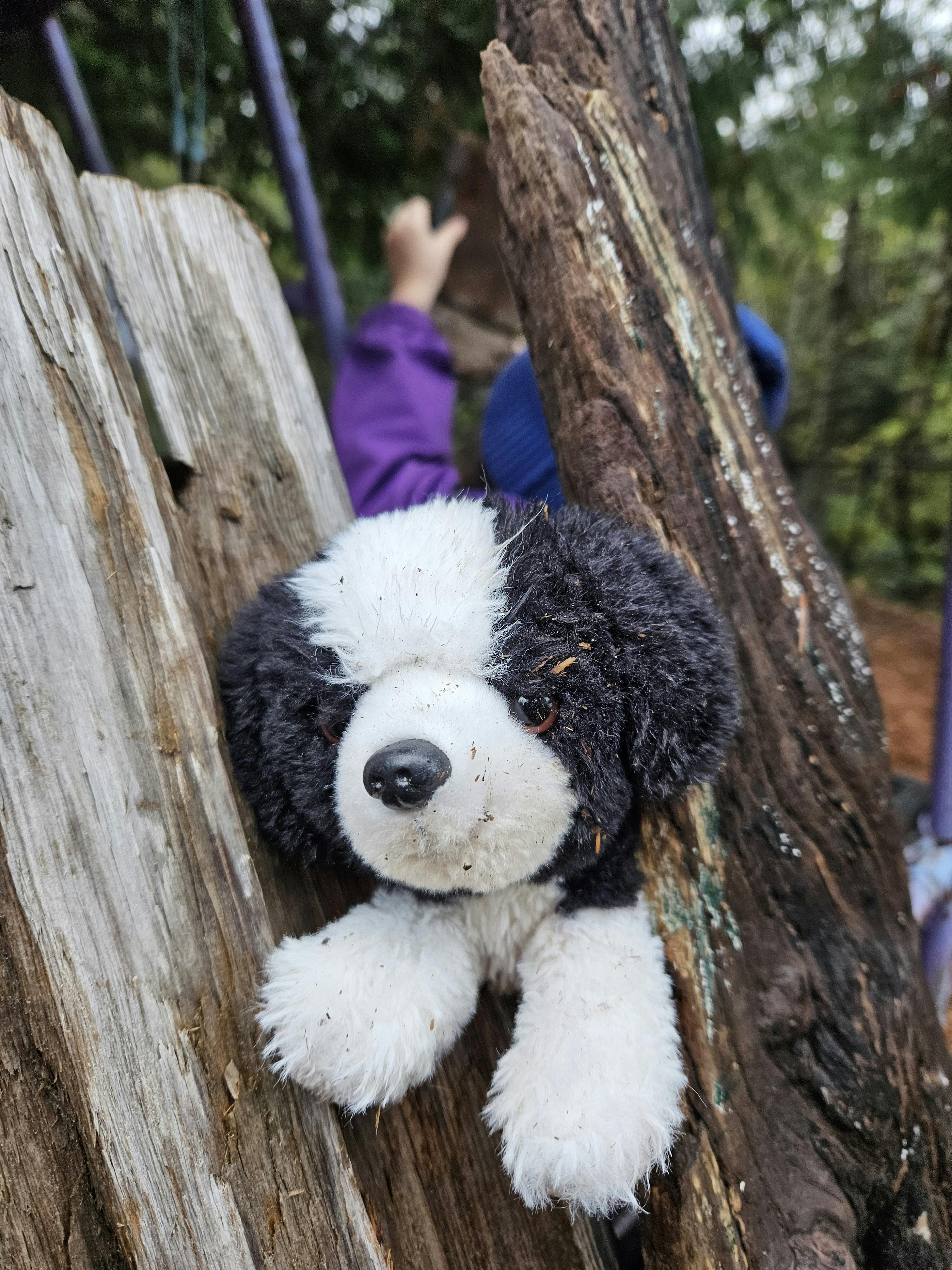 Black and white stuffed dog toy on a tree trunk