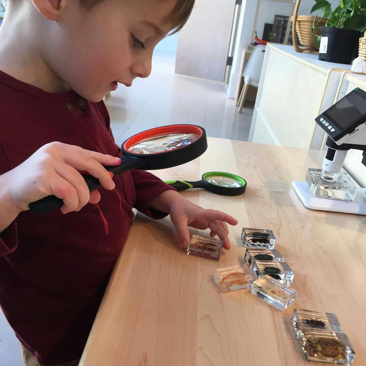 Child holding a magnifying glass over clear blocks on a table