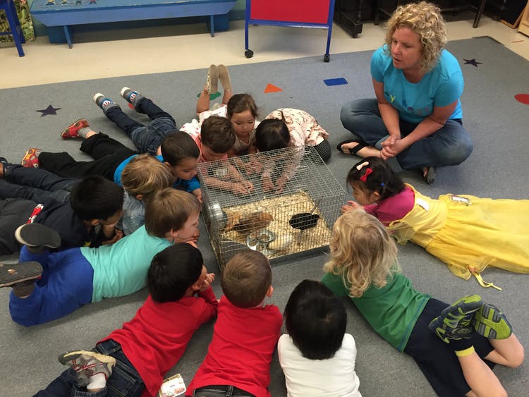Adult and children gathered around a cage with small animals