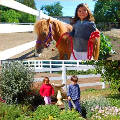 Child with a pony and two children in a garden