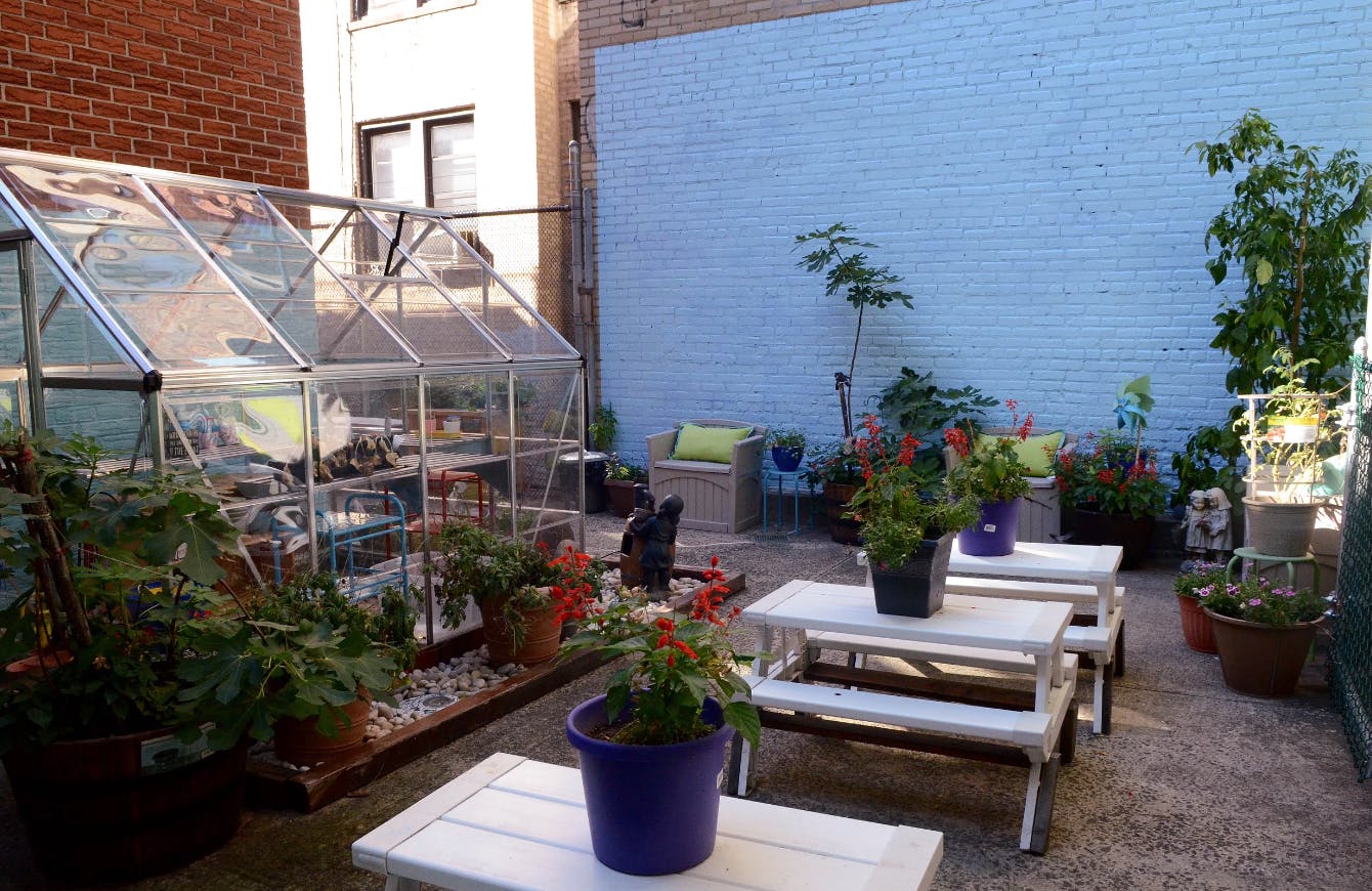 Greenhouse and potted plants in an outdoor patio area
