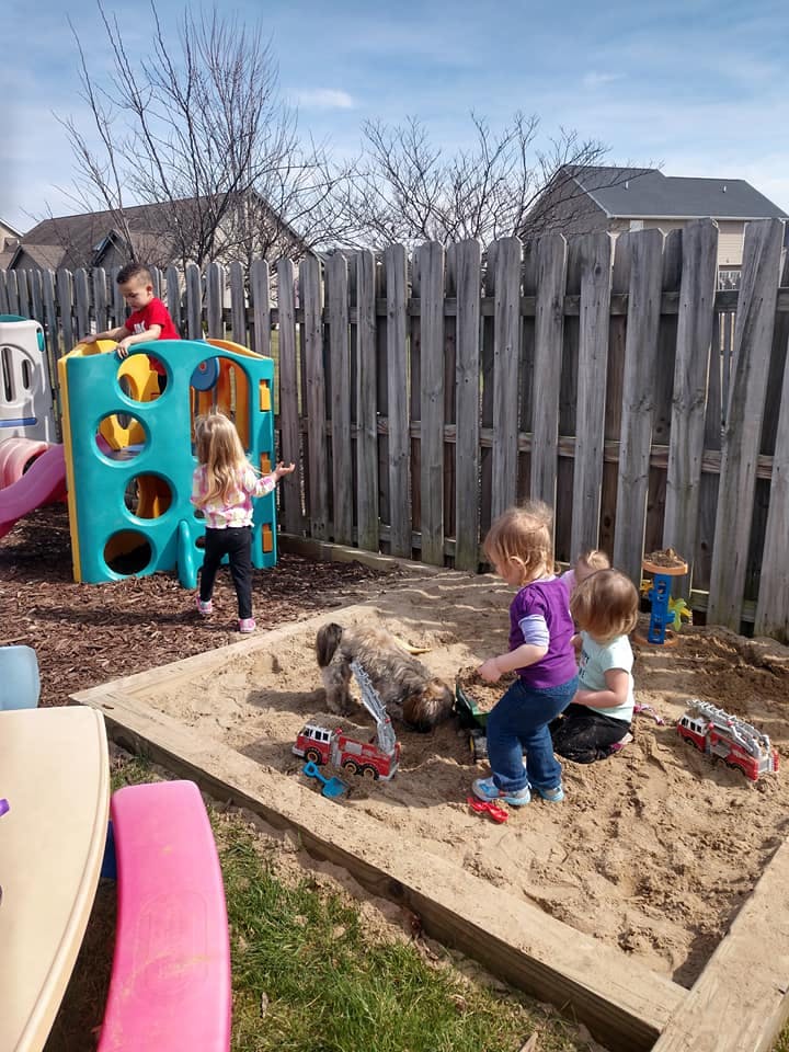 Children playing in a sandbox with toys and a dog