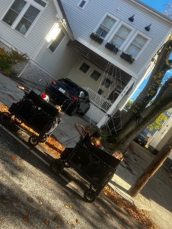 Two children in wagons on a street with a house and car in the background