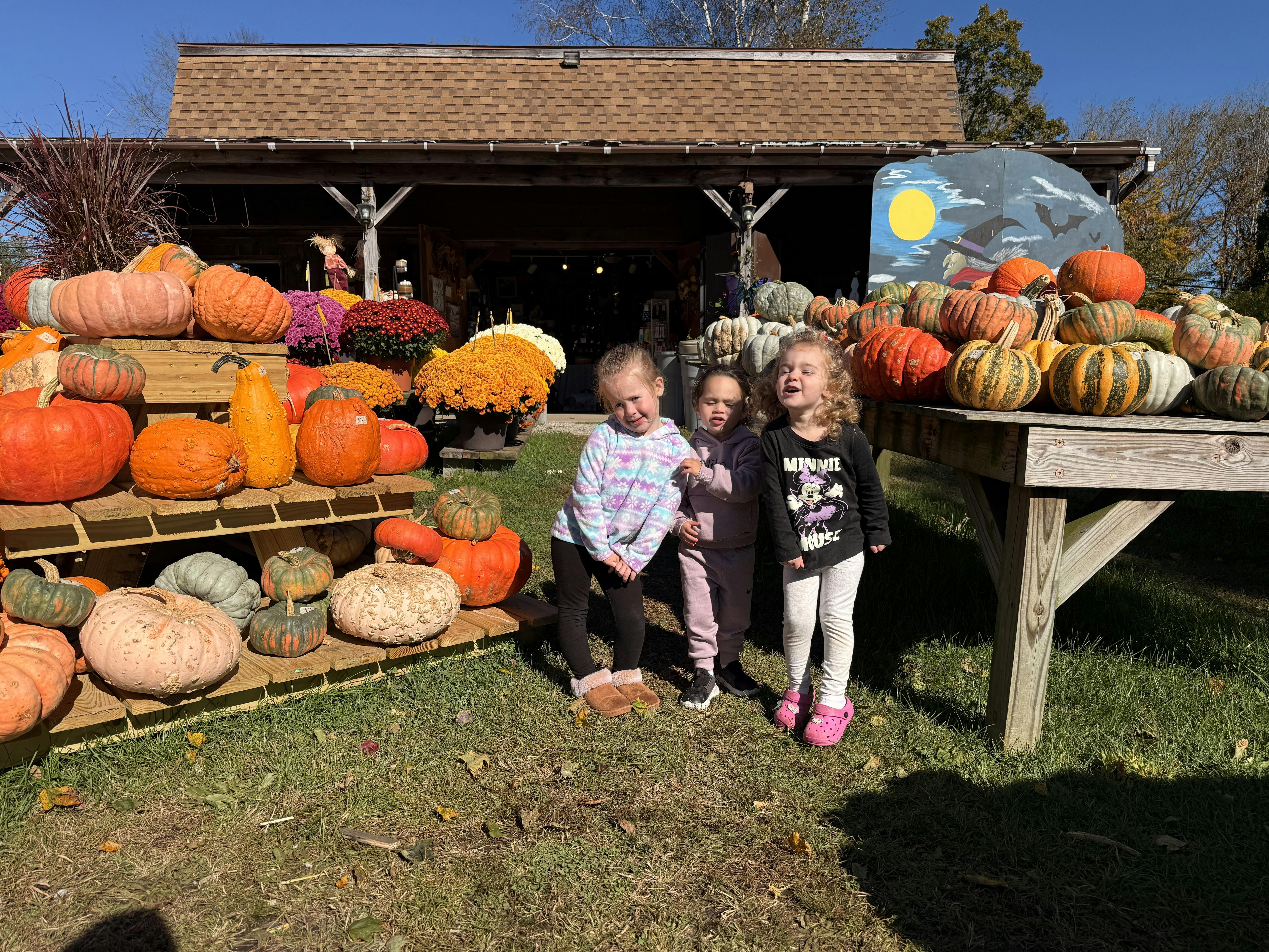 Three children standing in front of pumpkins and gourds