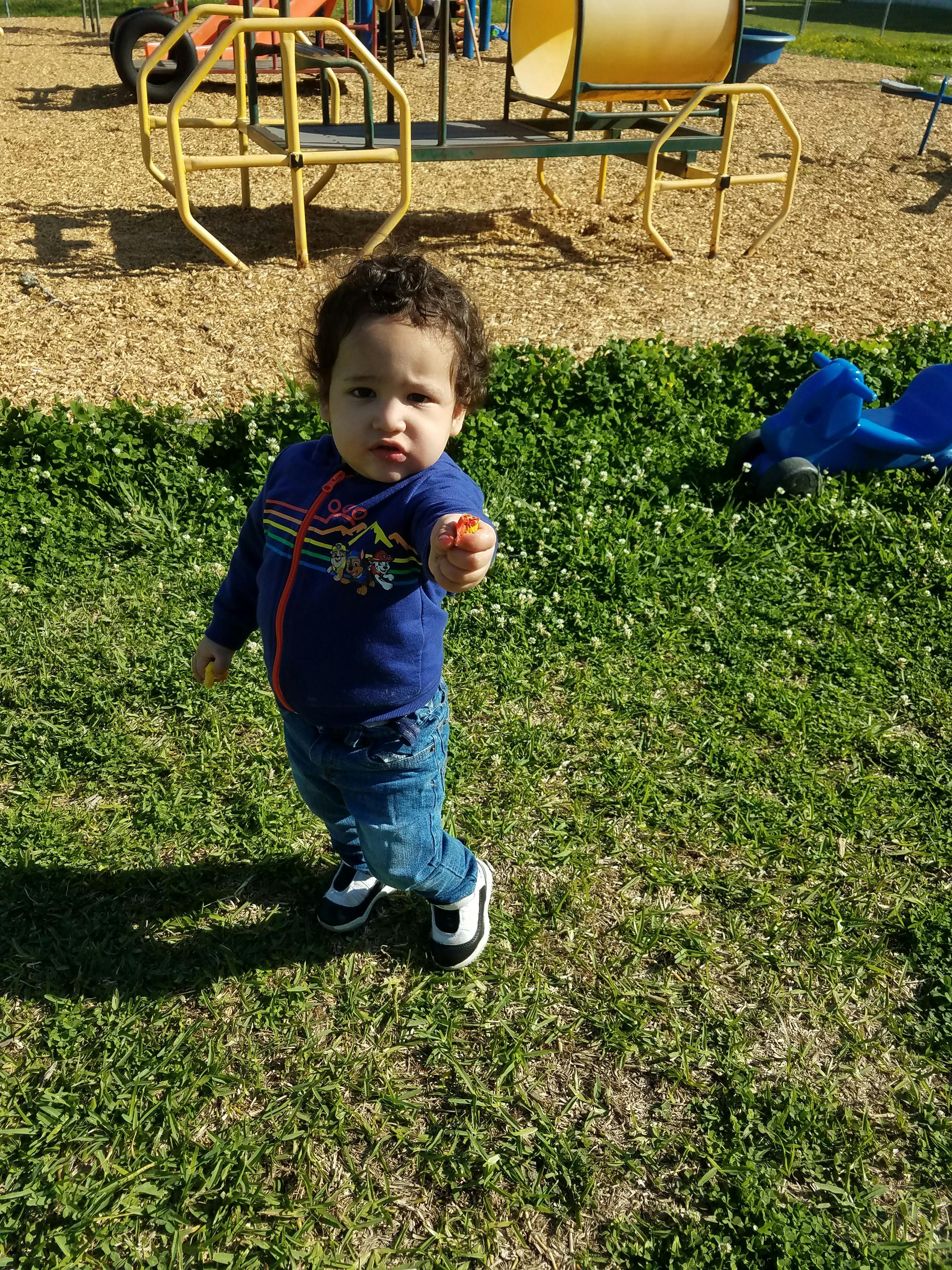 Child standing on grass in a playground, holding out a small object