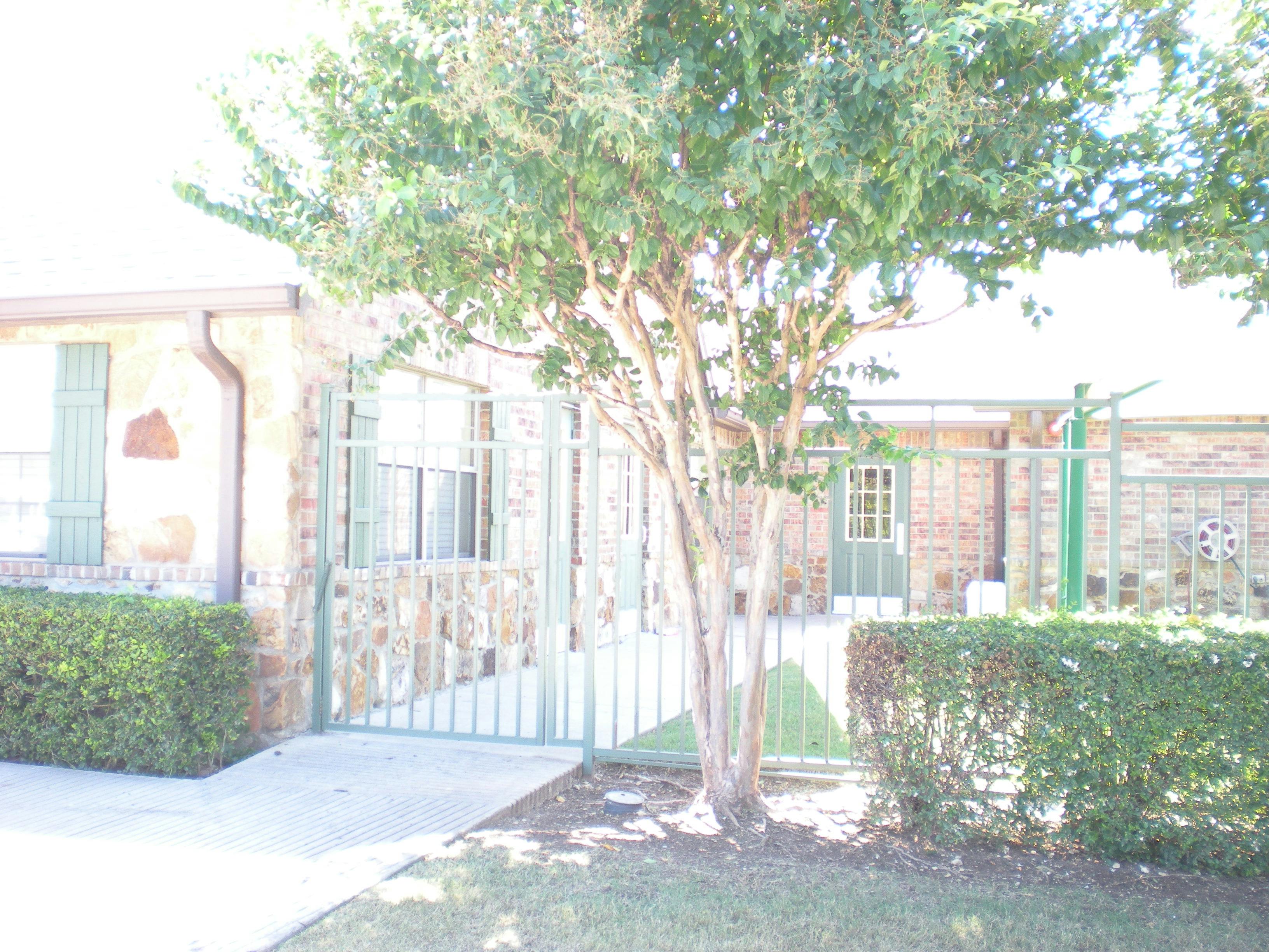 Building exterior with a tree, bushes, and a metal gate
