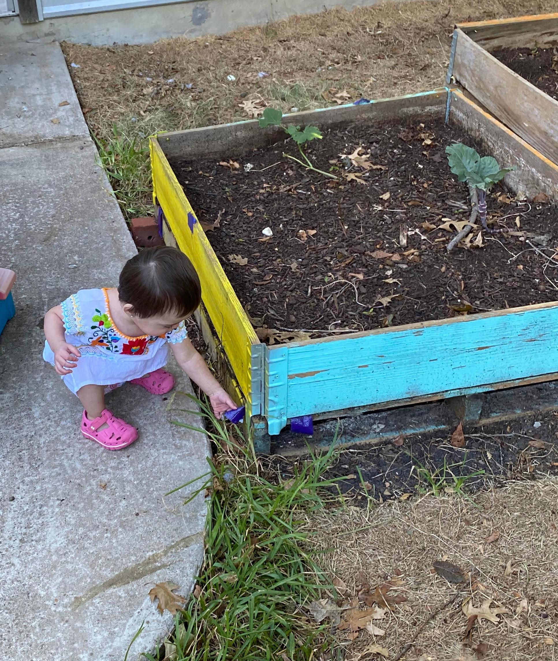 Child crouching next to a raised garden bed