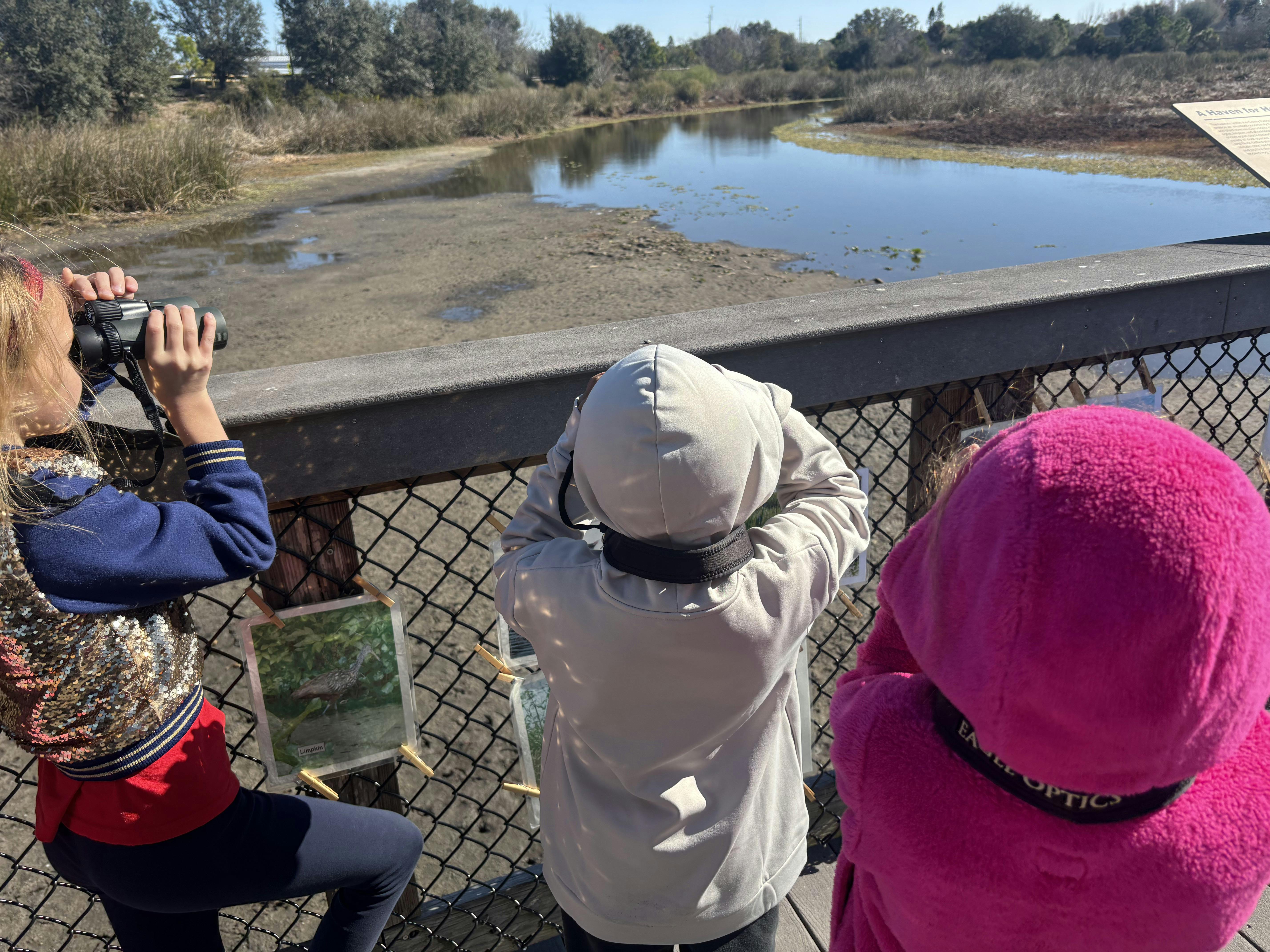 Three children looking through binoculars over a marshy landscape