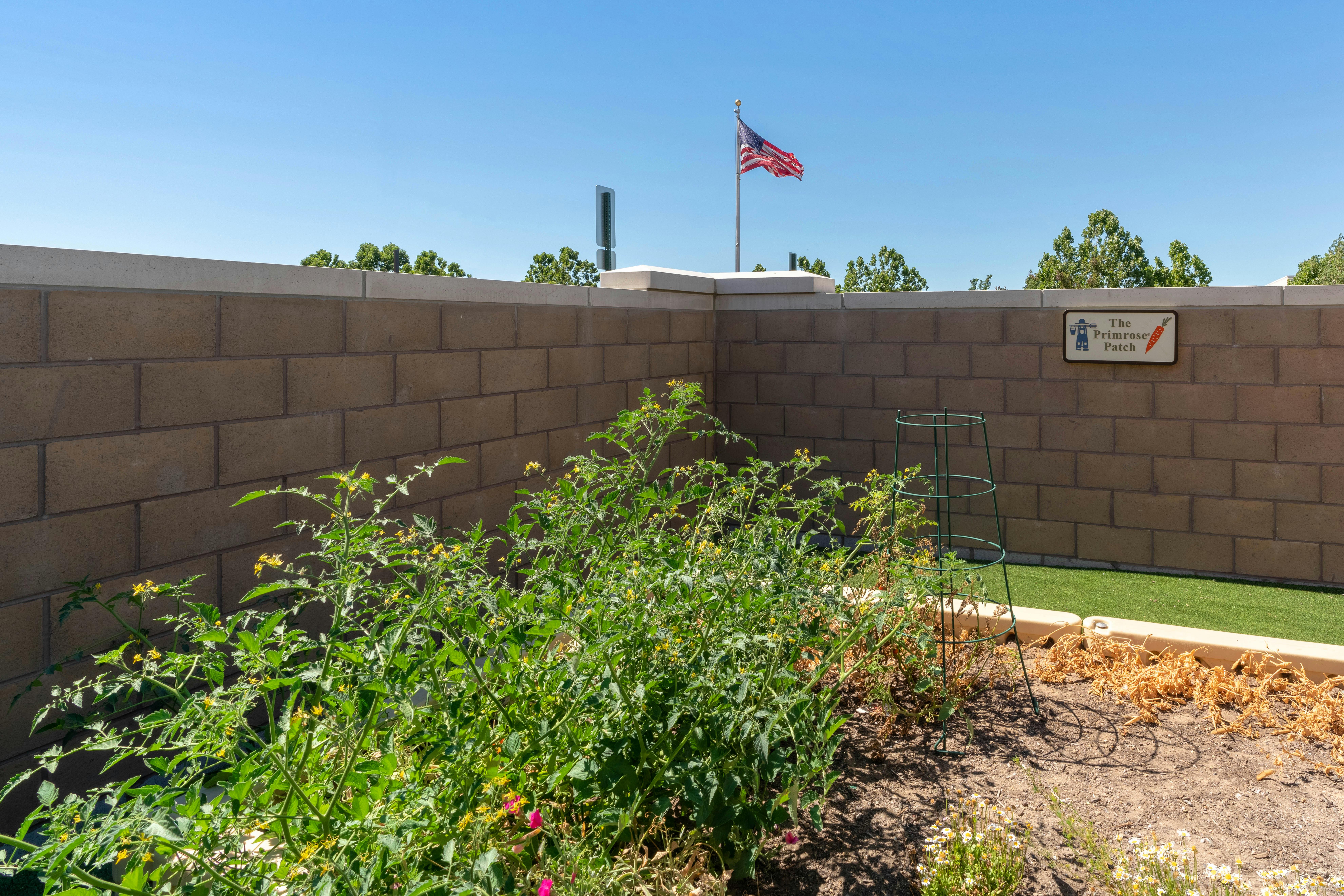 Garden with green plants and a sign that reads The Primrose Patch, an American flag