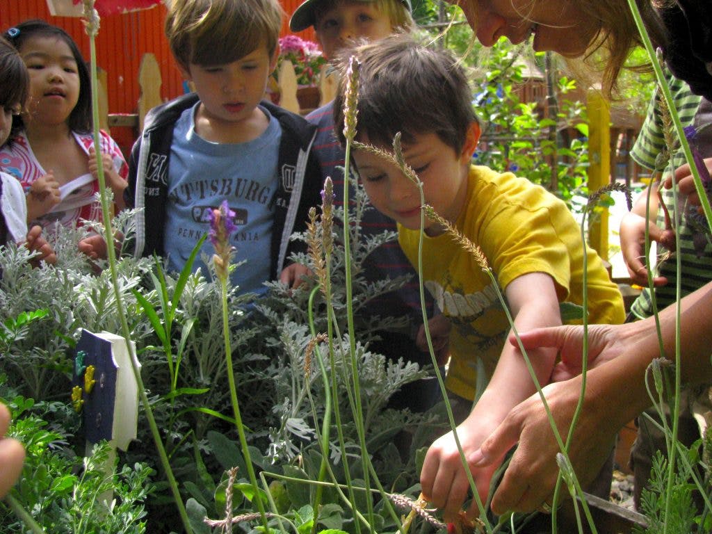 Children and adults looking at plants in a garden