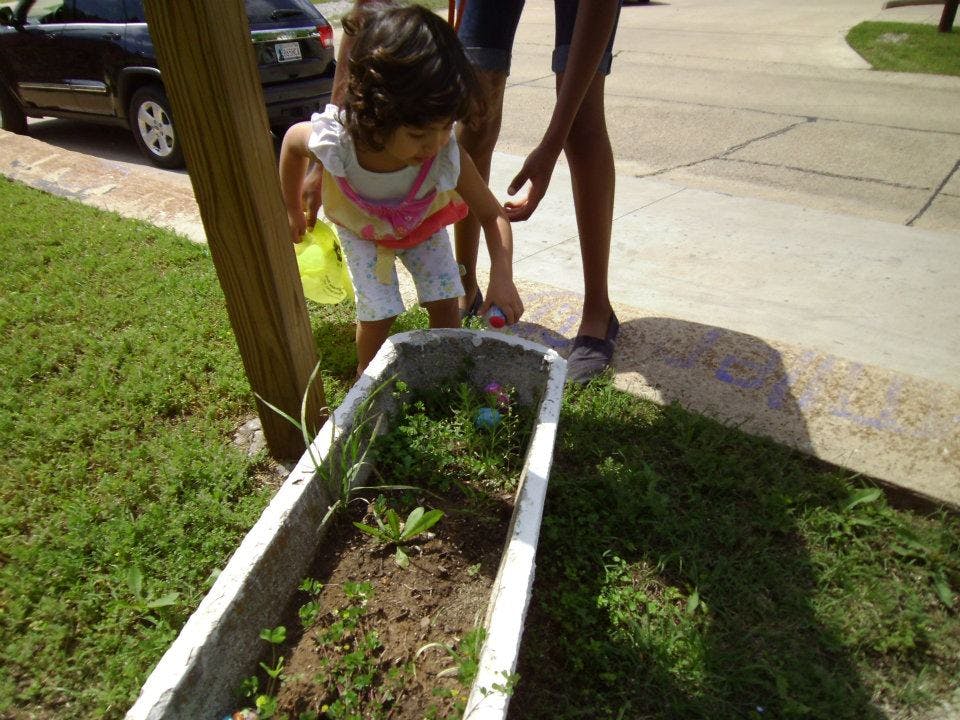 Child looking into a planter box with a person standing nearby