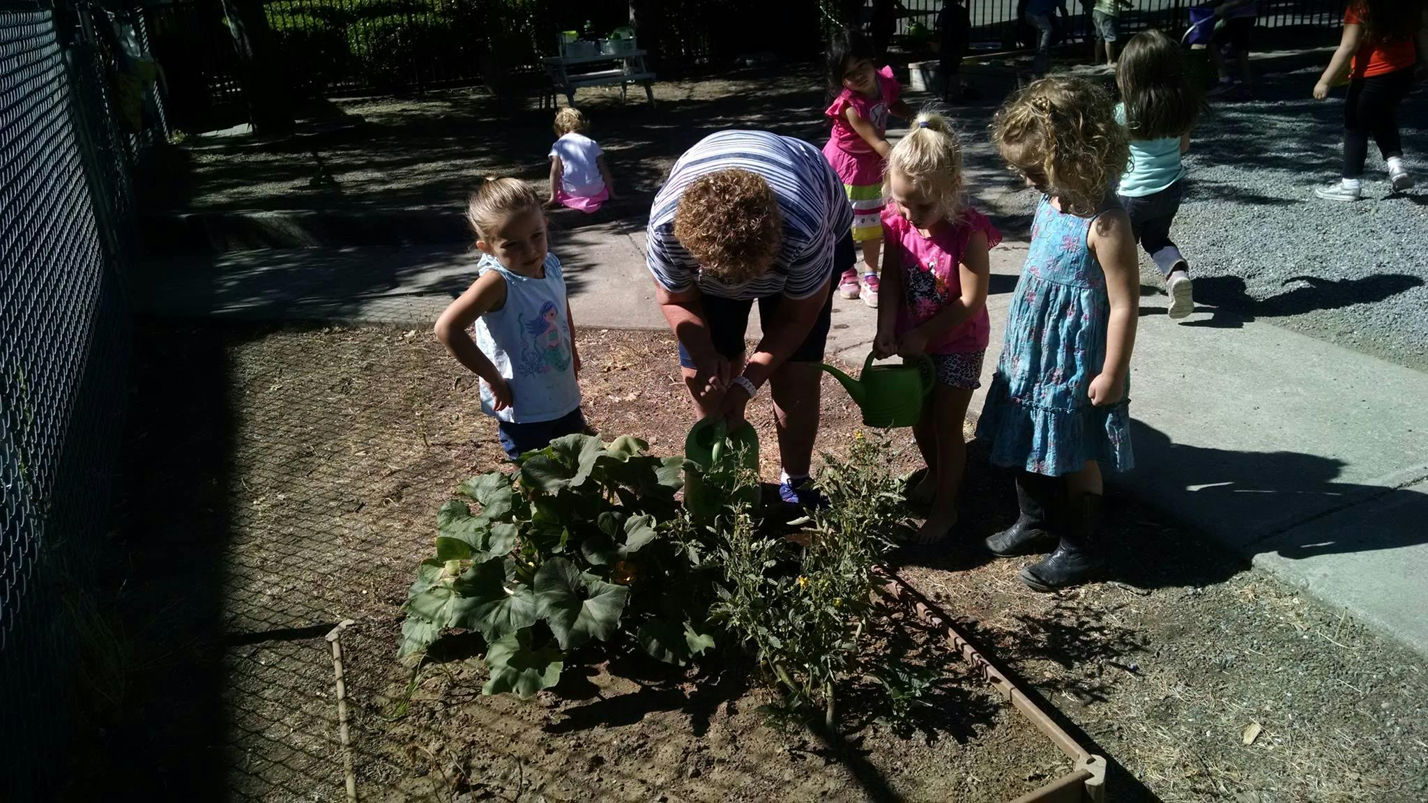 The Sandbox Child Care Center Daycare in Ukiah, CA Winnie