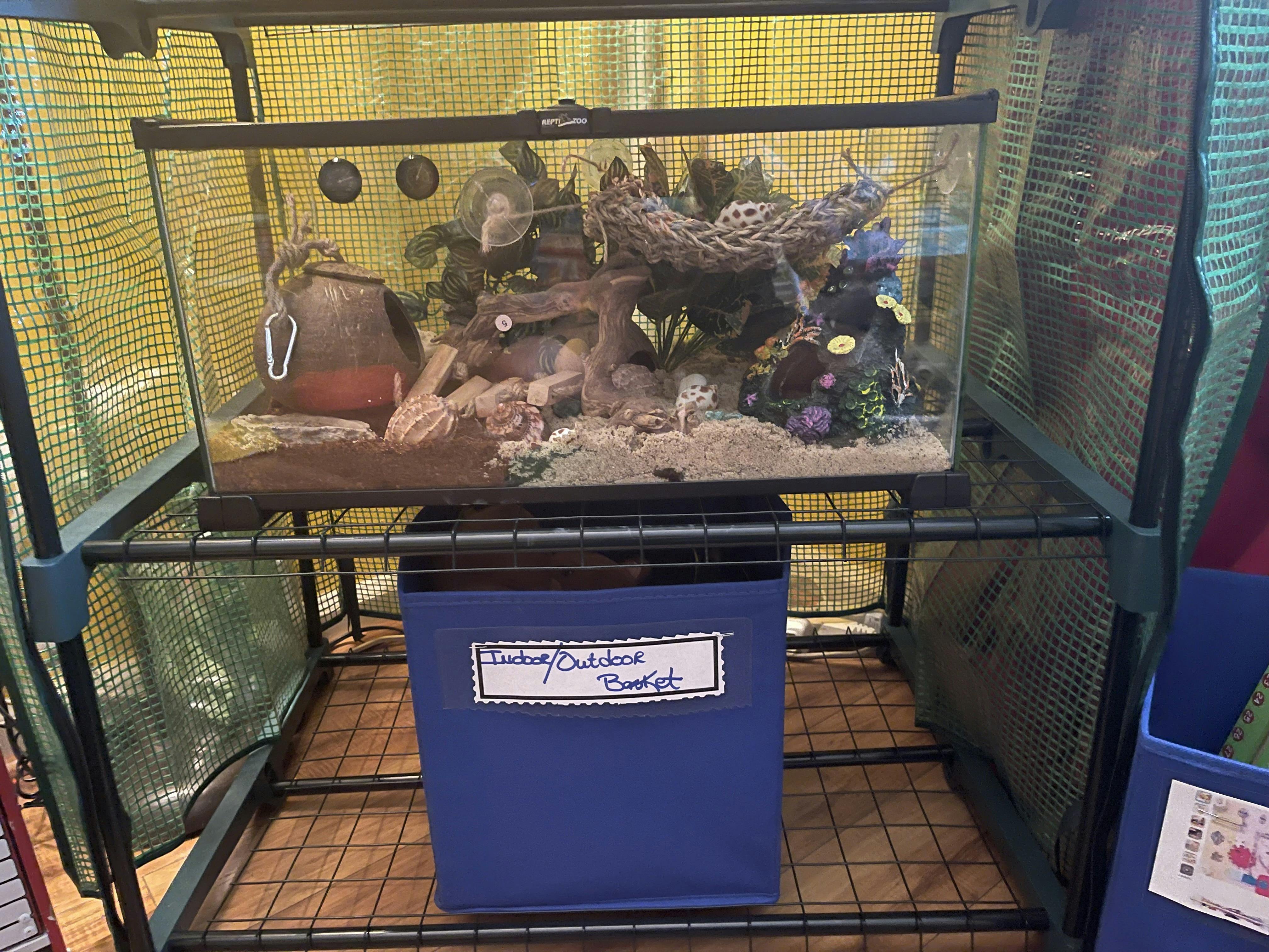 Aquarium with sand, rocks, and plants inside a mesh enclosure