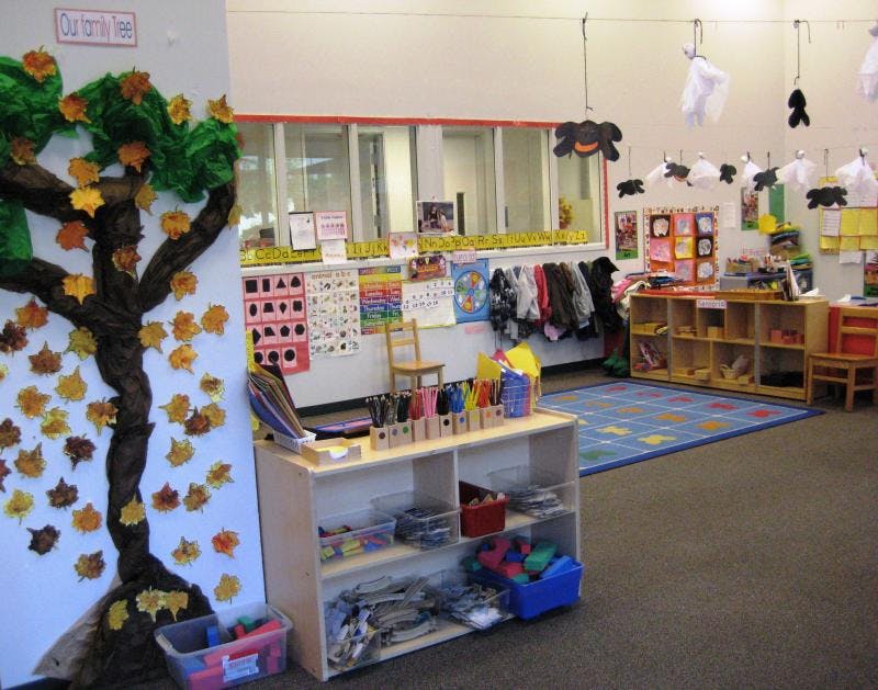 Classroom with a tree decoration on the wall and various learning materials
