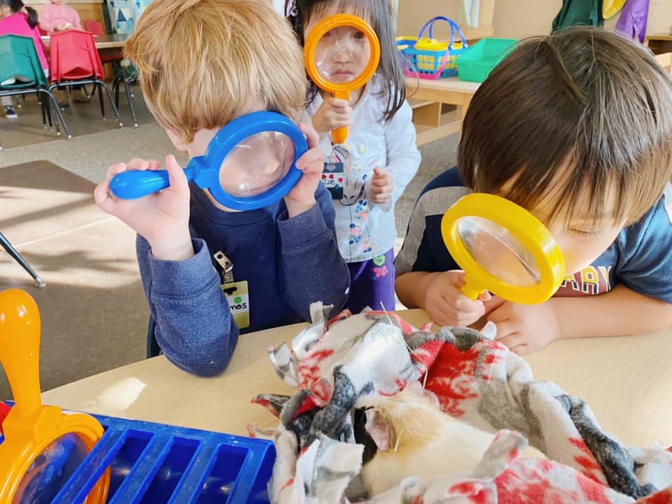 Three children looking through magnifying glasses at an object on a table
