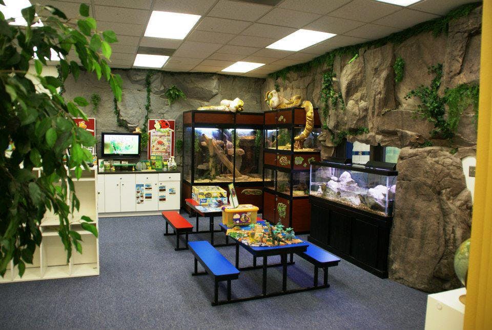 Room with aquariums, terrariums, and small tables with benches
