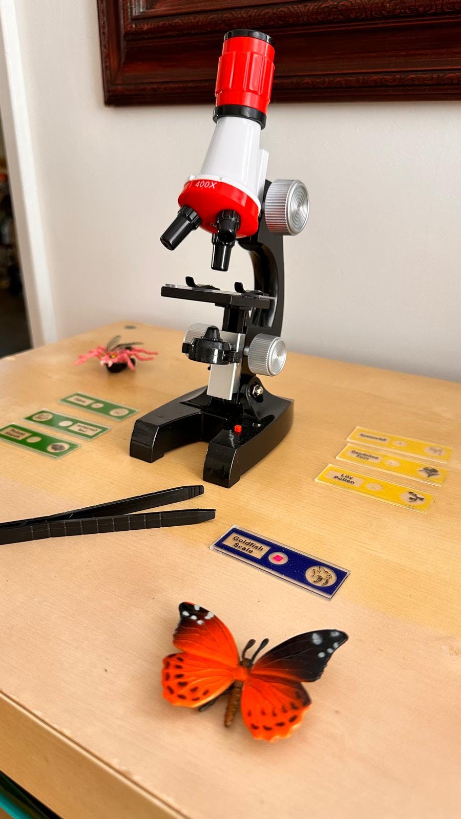 Toy microscope with slides, tweezers, and a butterfly on a wooden surface