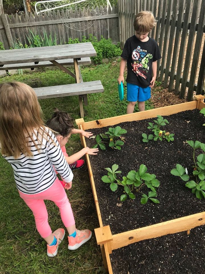Three children tending to plants in a raised garden bed