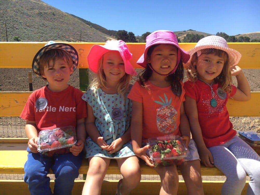 Four children sitting on a bench, two holding containers of strawberries