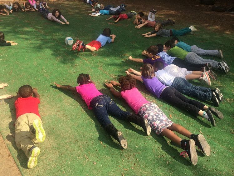 Children lying on their stomachs on green ground