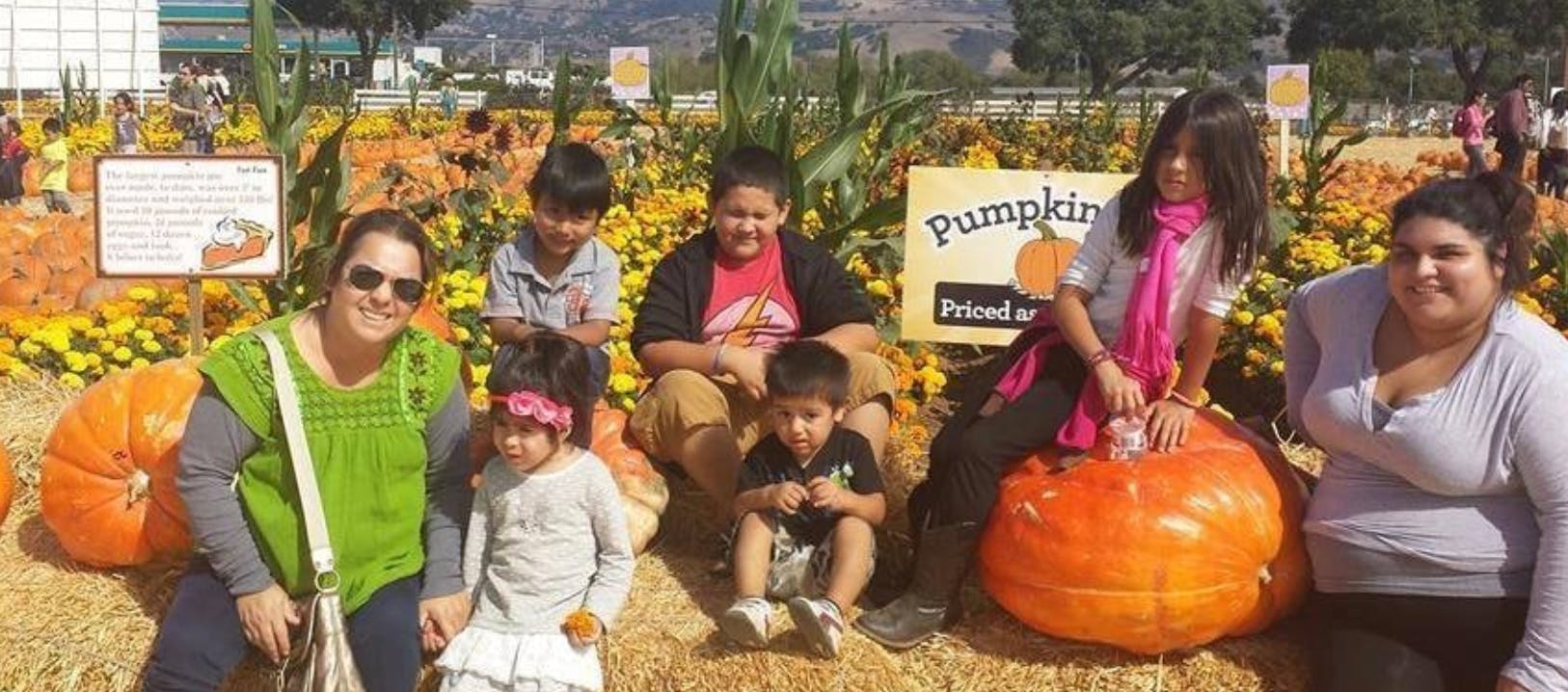 People and children sitting among pumpkins and hay bales