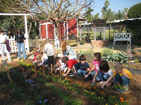 Children and adults planting in a garden