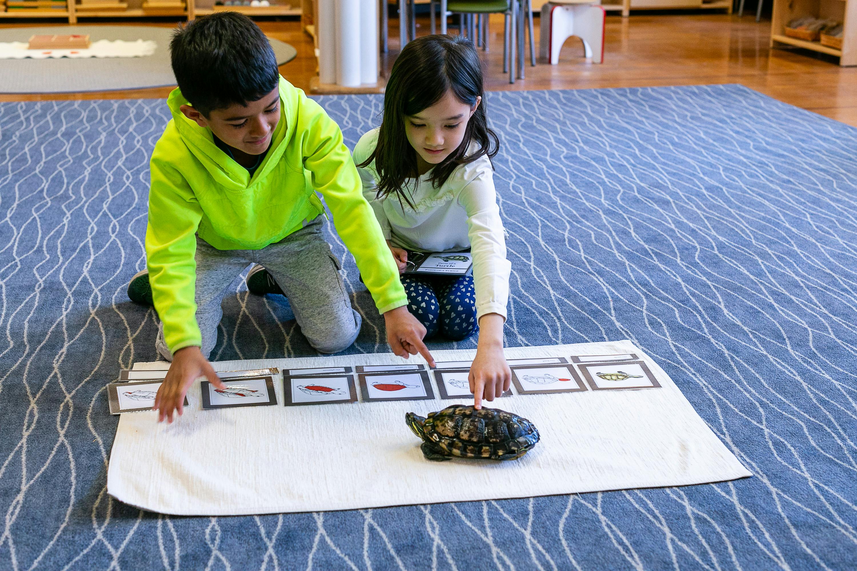 Two children kneeling on a rug, pointing at a turtle on a white mat