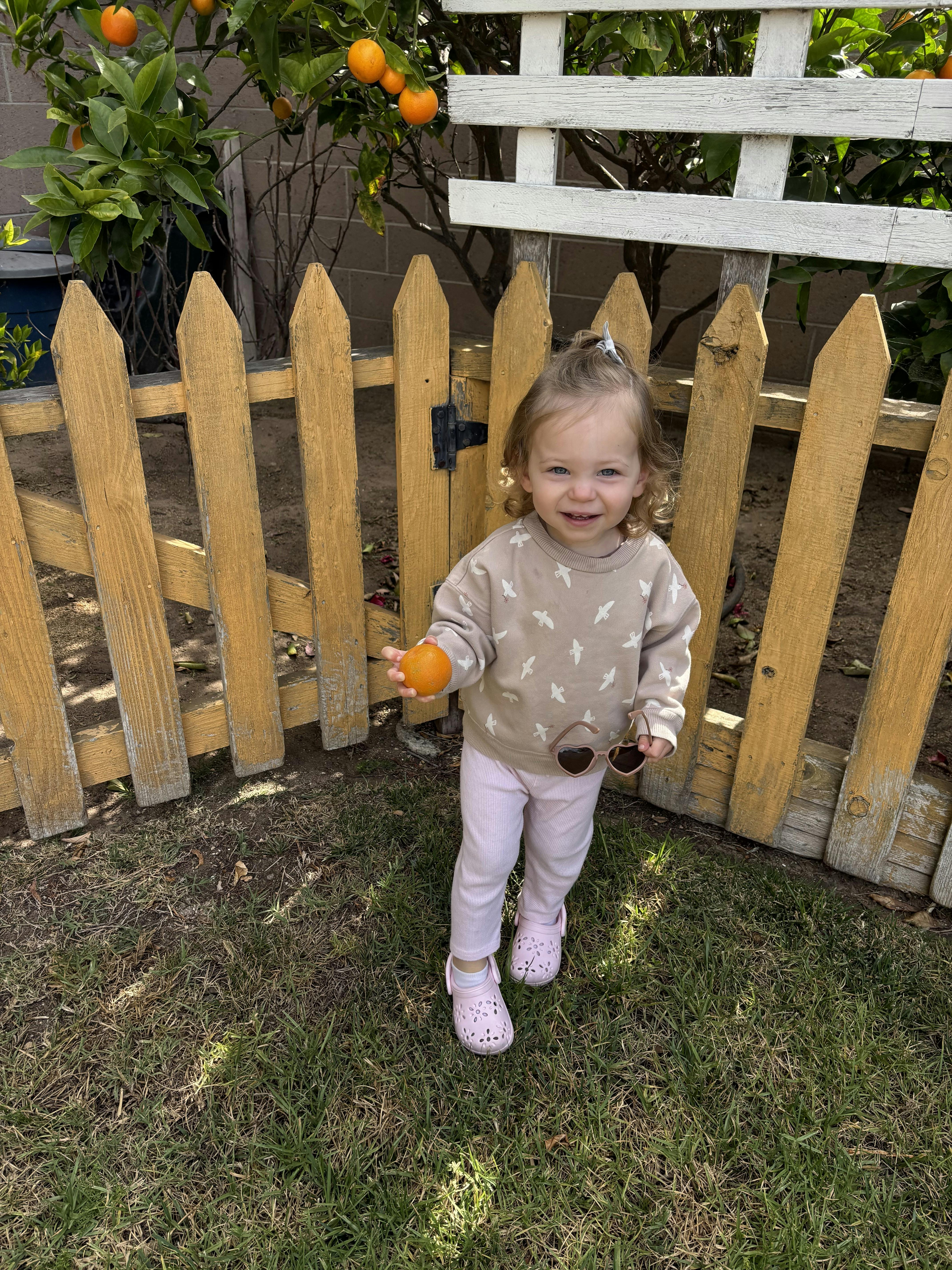 A child standing near a fence, holding an orange and sunglasses