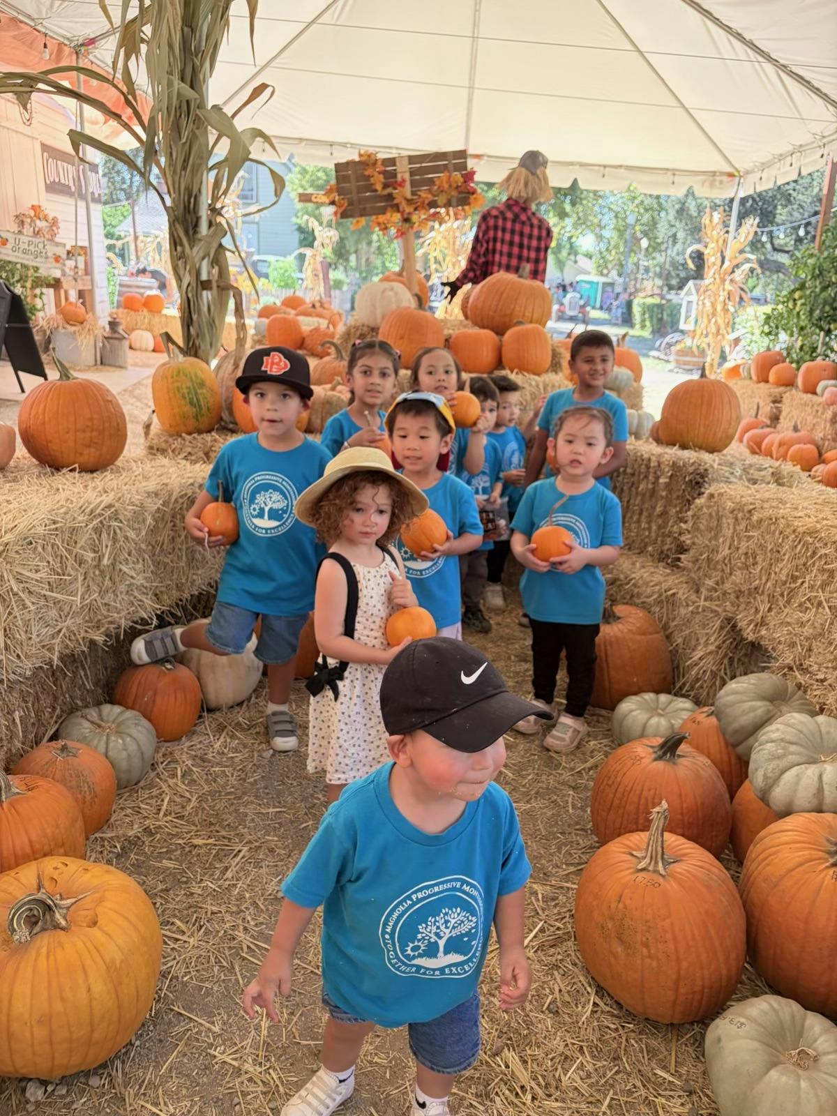 Group of children holding pumpkins in a pumpkin patch