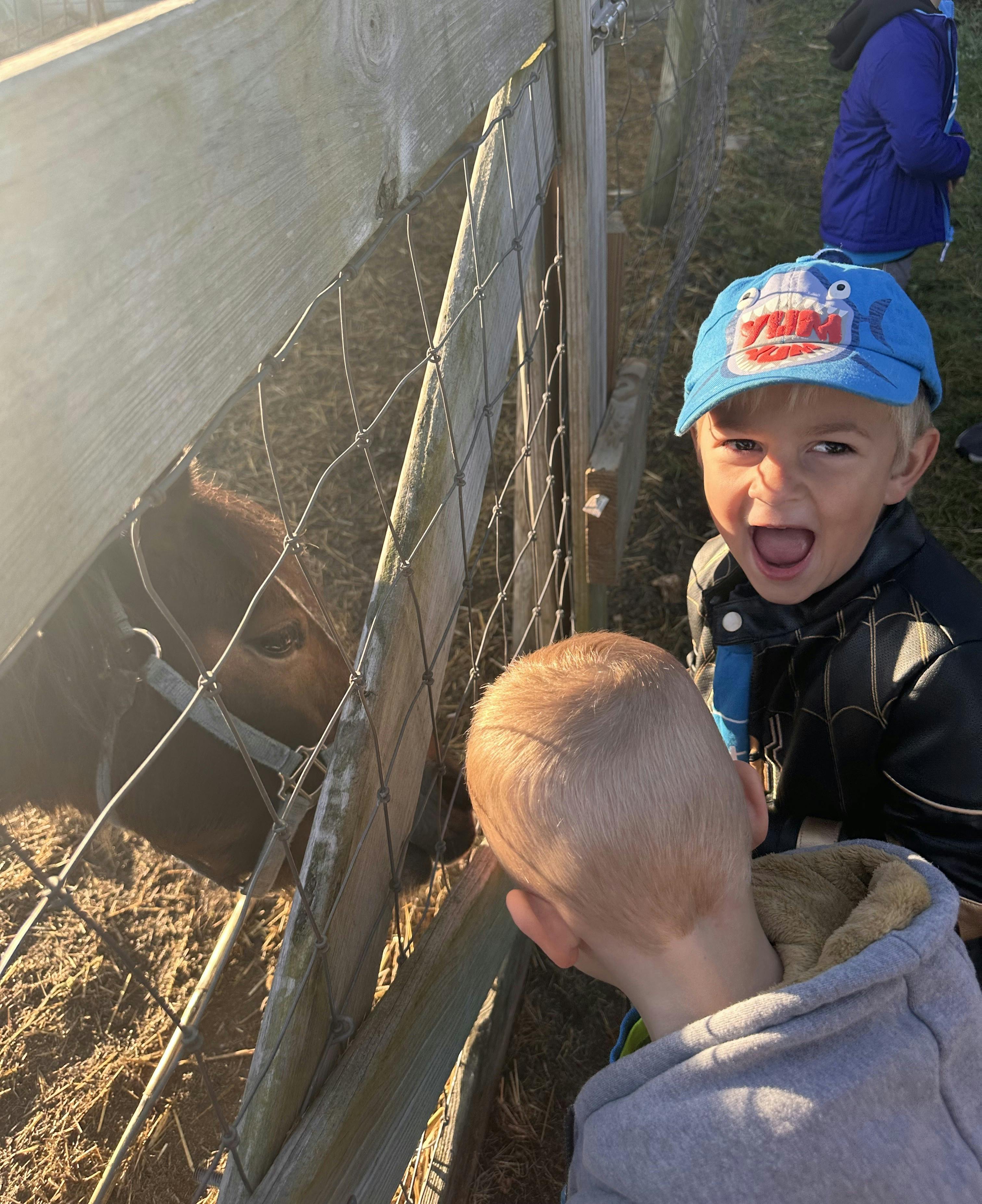 Two children looking at an animal behind a fence