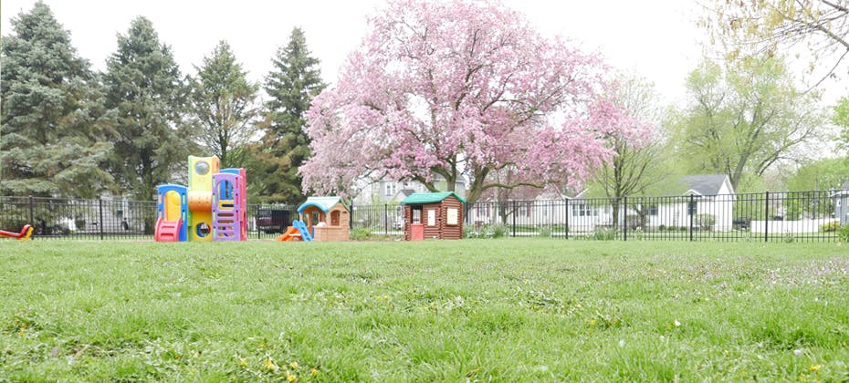 Playground with colorful equipment and a blooming pink tree