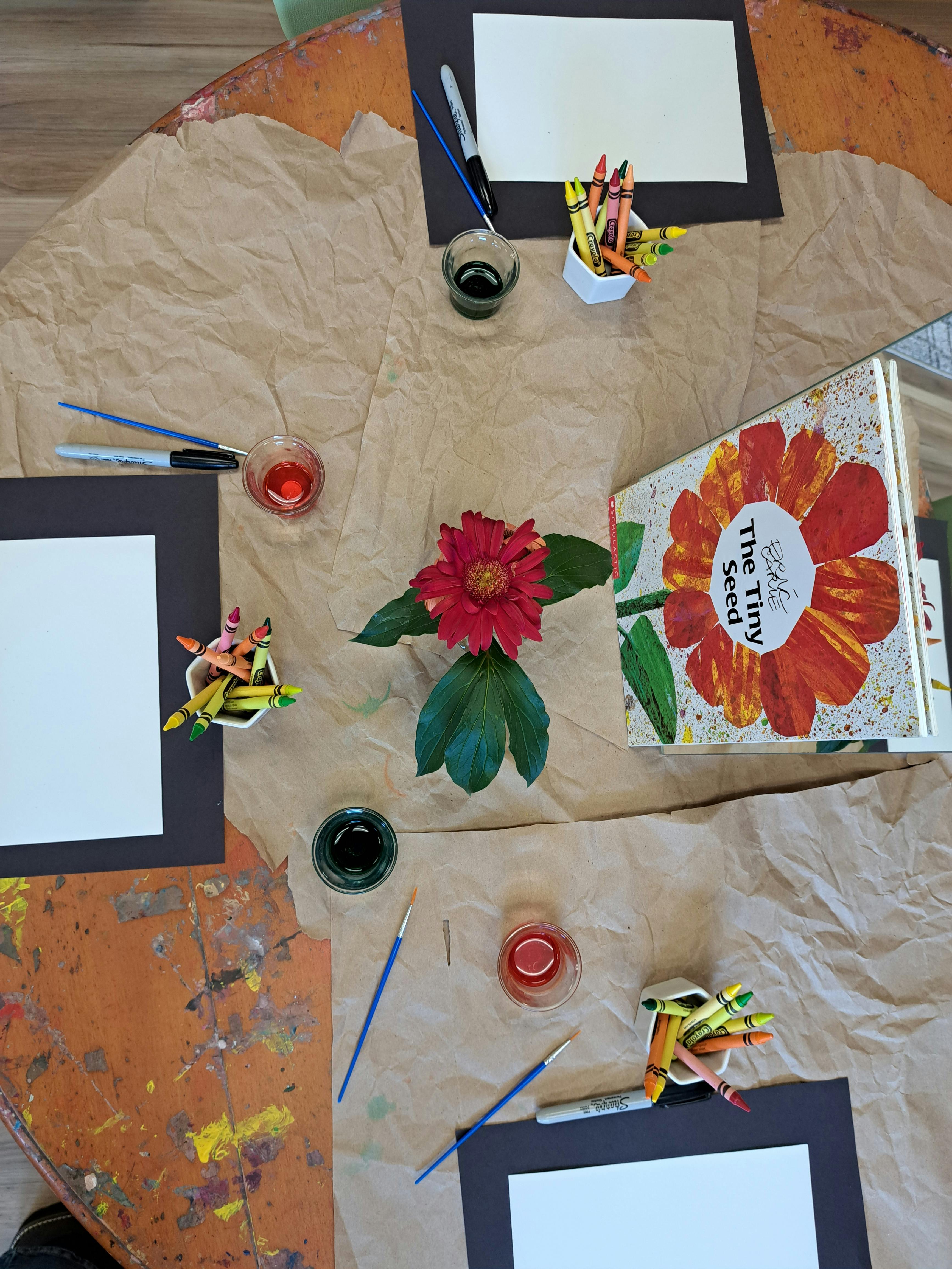 Art supplies and The Tiny Seed book on a table