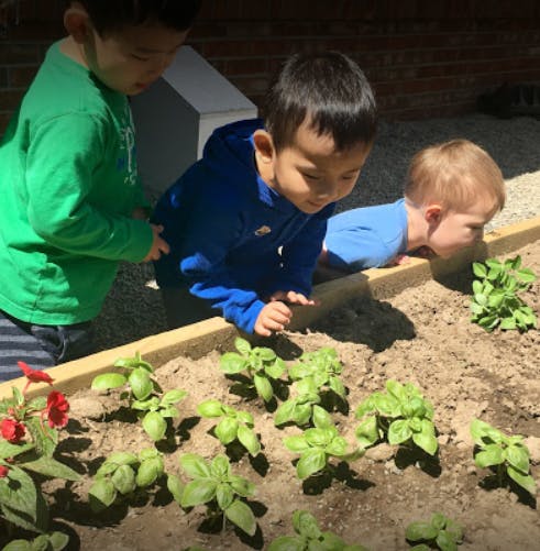 Three children looking at plants in a garden bed