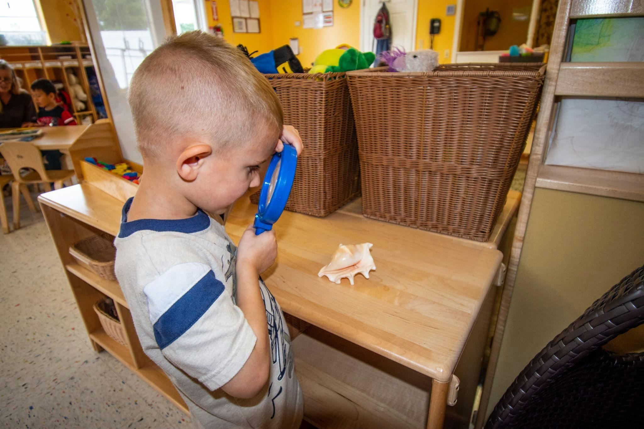 Child looking at a seashell with a magnifying glass in a classroom