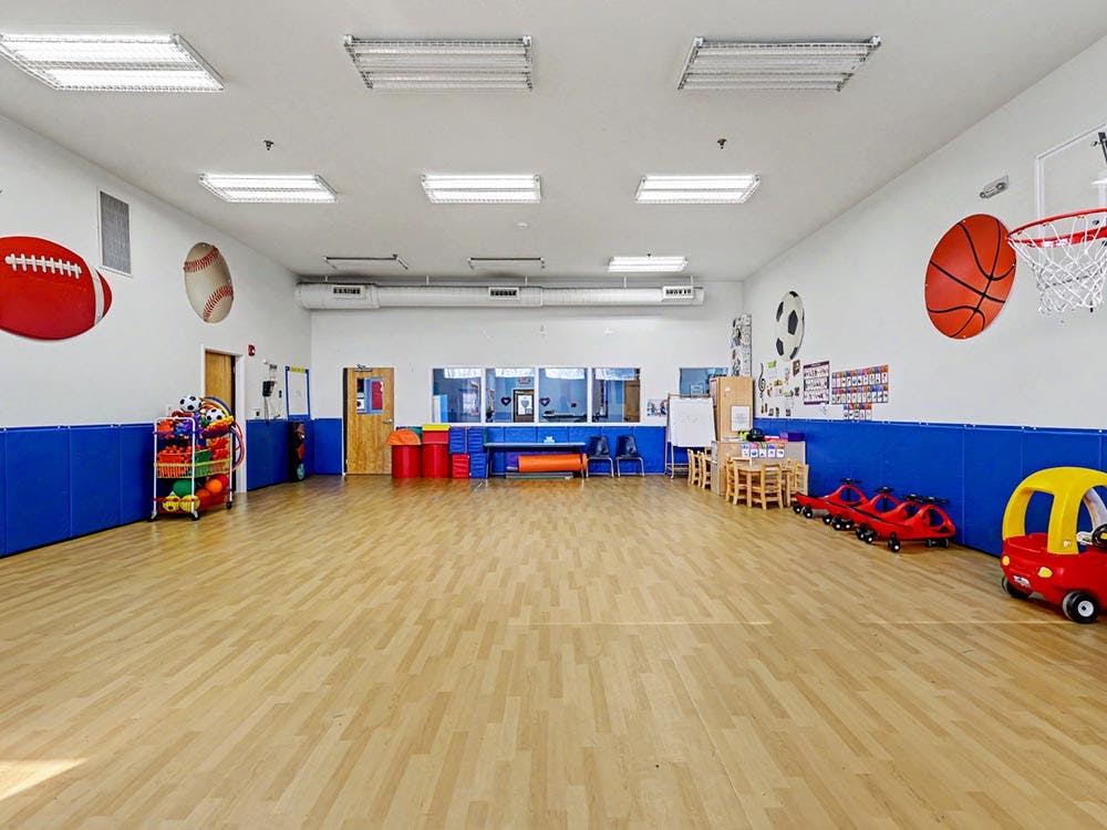Empty children's playroom with wood floor, blue padding on walls, and sports decor