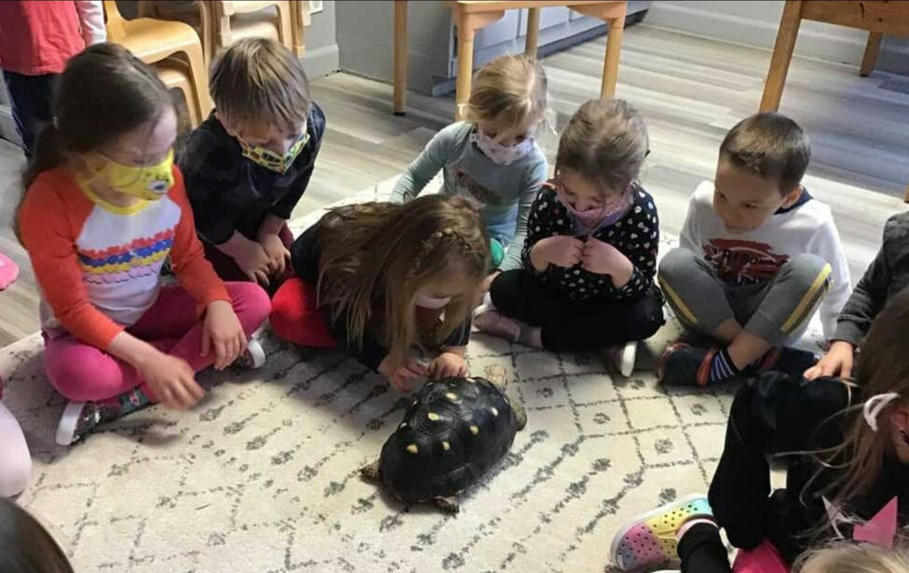 Children gathered around a turtle on the floor