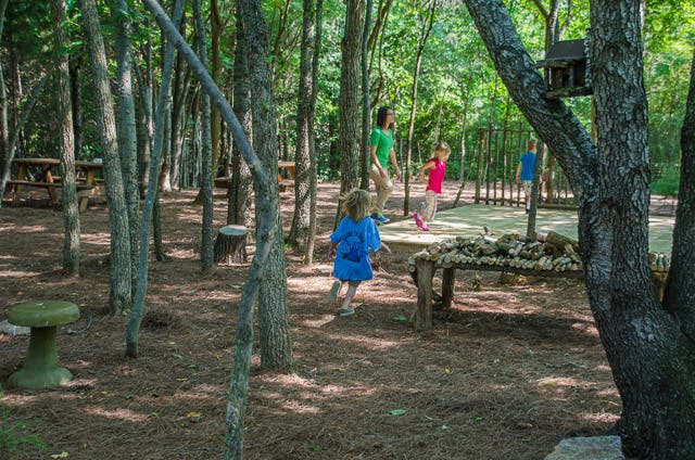 People and children playing in a wooded area