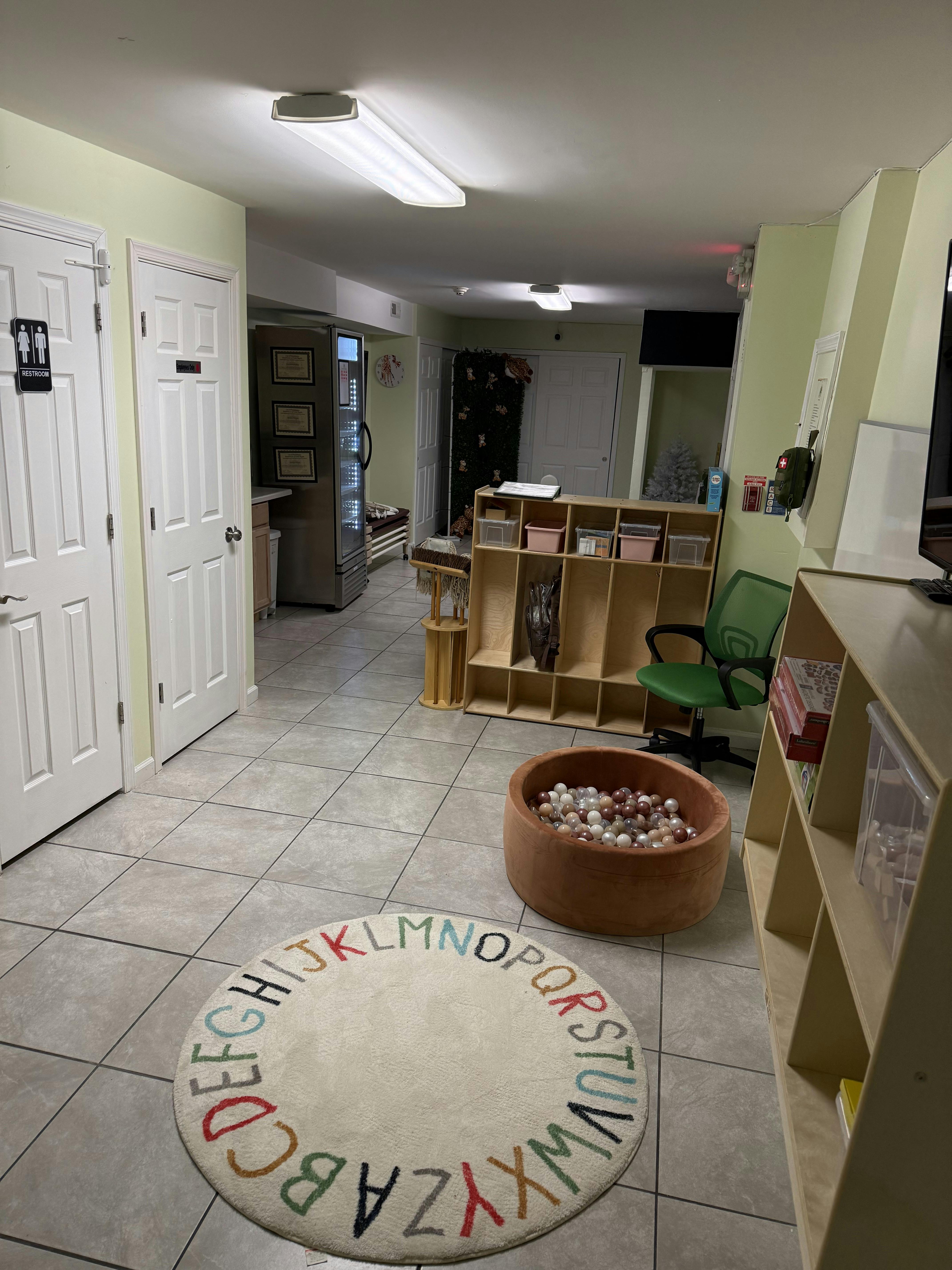 Playroom with an alphabet rug and a ball pit