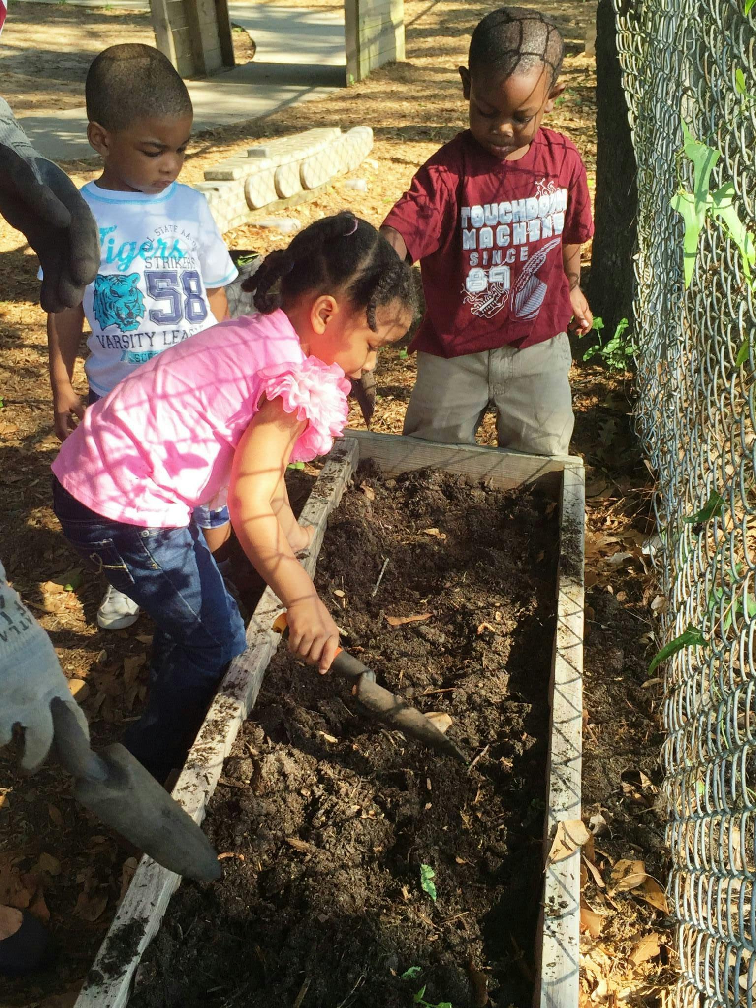 Child digging in a garden bed with a tool, two other children watching