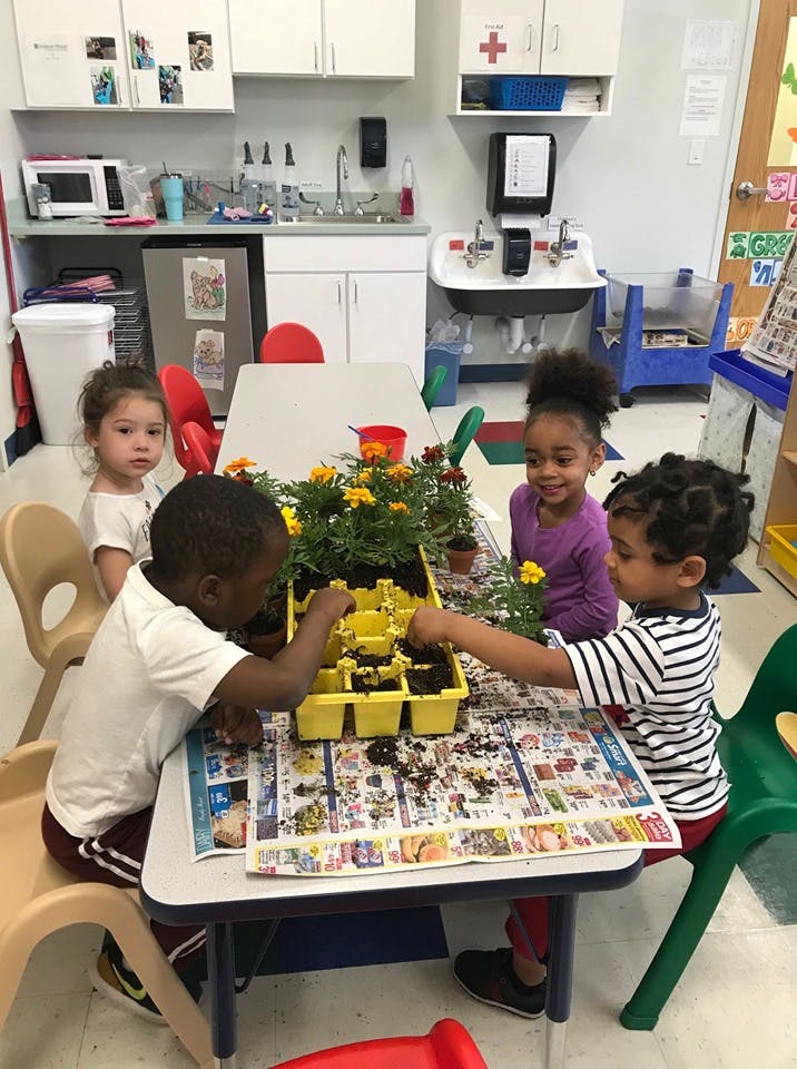 Three children planting flowers at a table