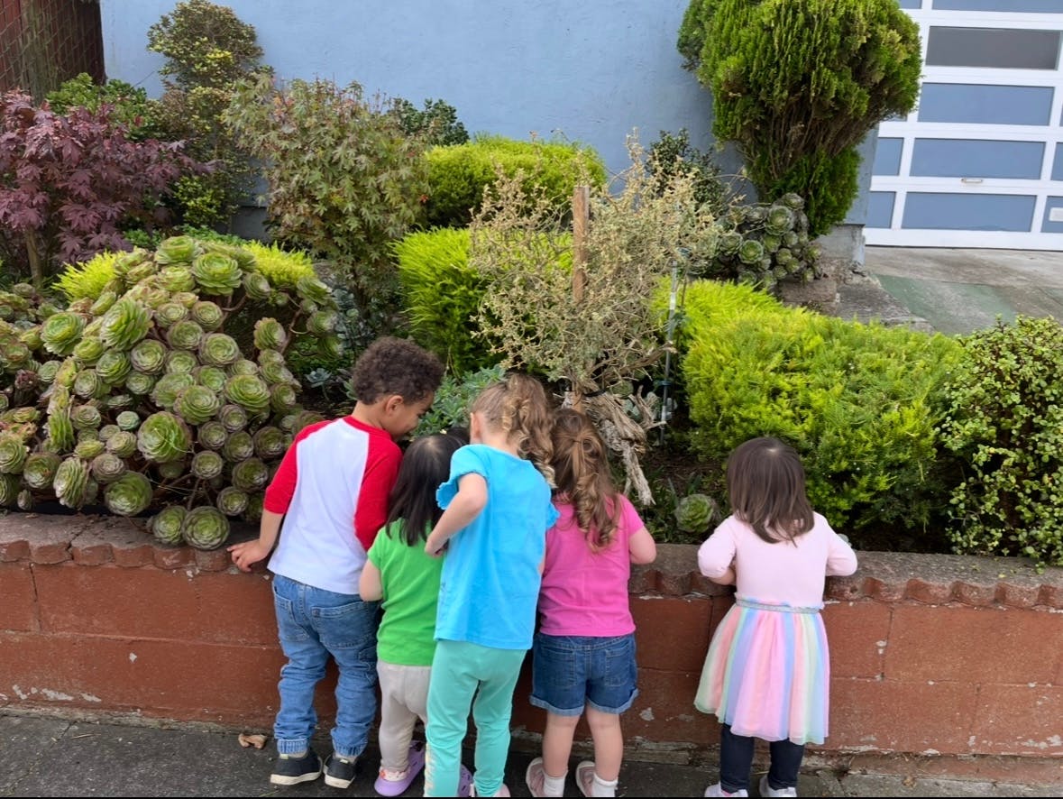 Four children looking into a garden