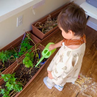 Child watering plants in planters with a small watering can