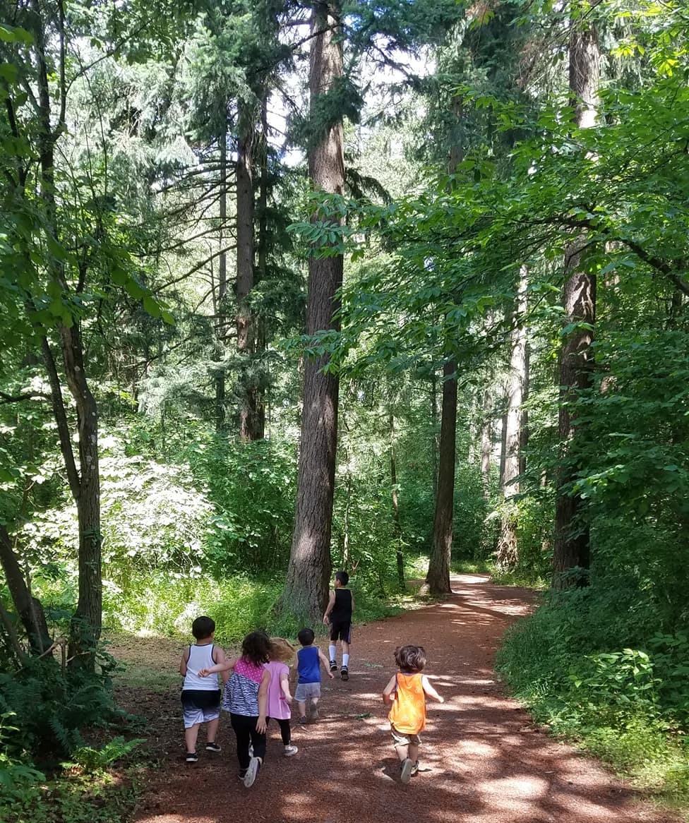 Children walking on a dirt path through a forest