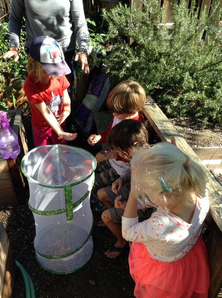 Del Mar Hills Nursery School in Del Mar, CA