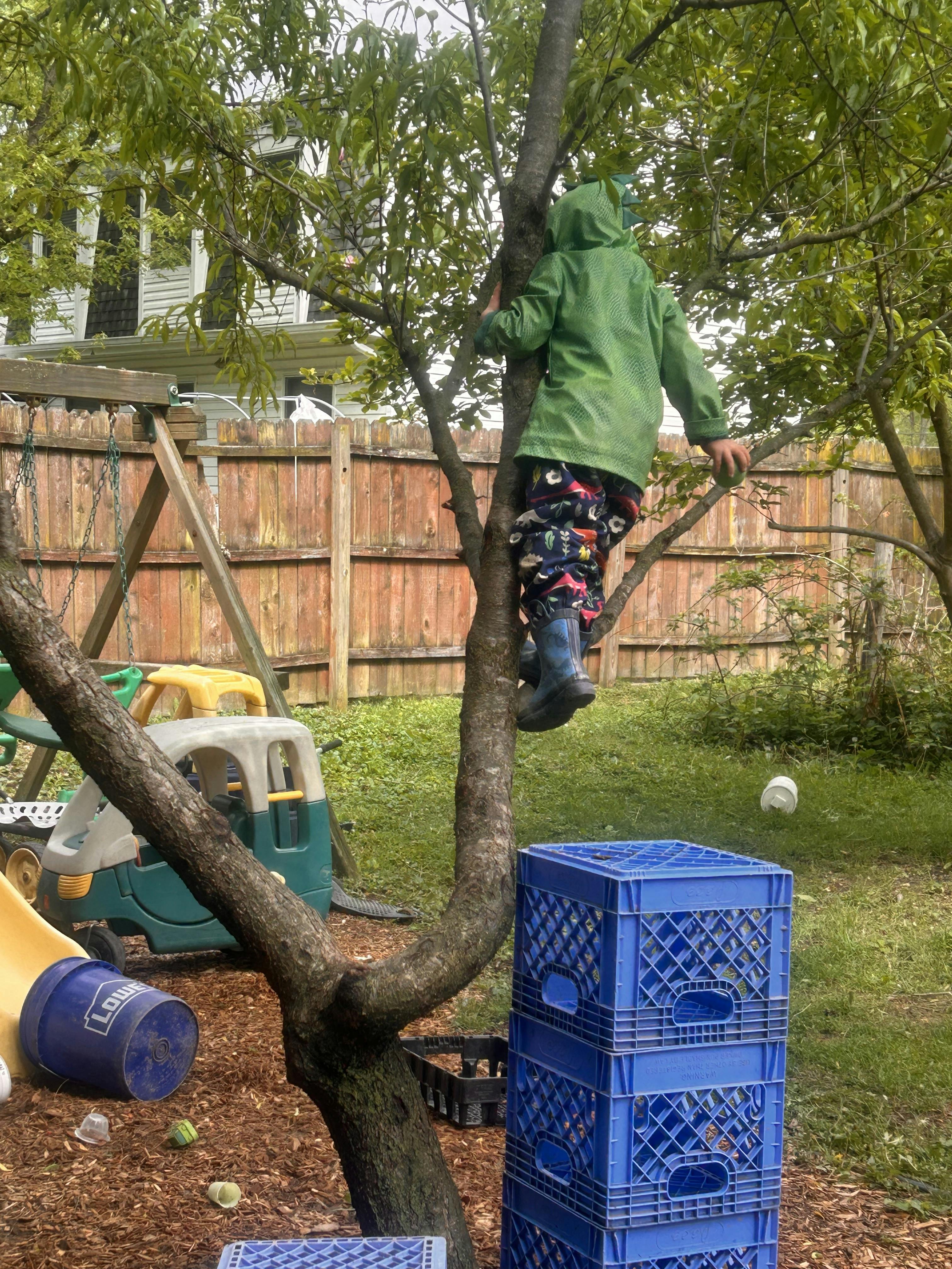 Child in a green raincoat and patterned pants climbing a tree in a backyard
