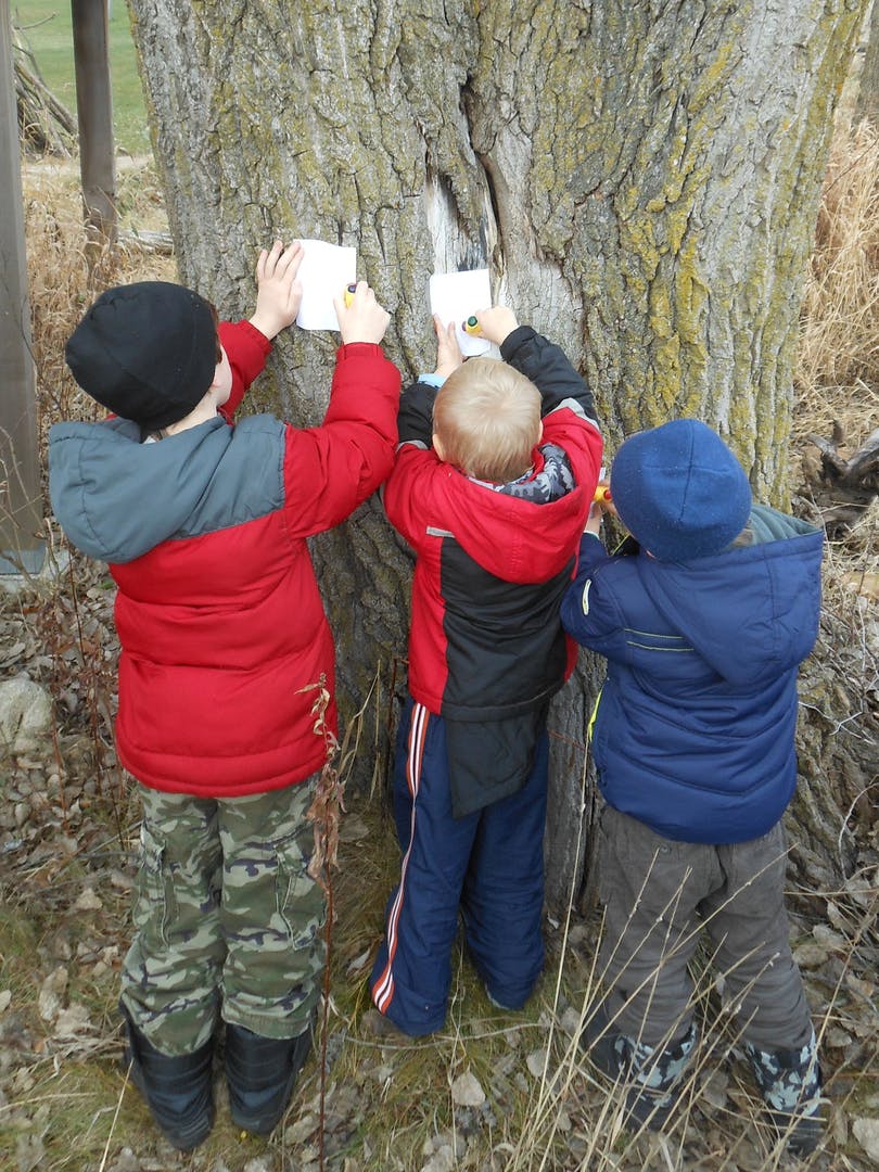 Three children attaching papers to a tree trunk