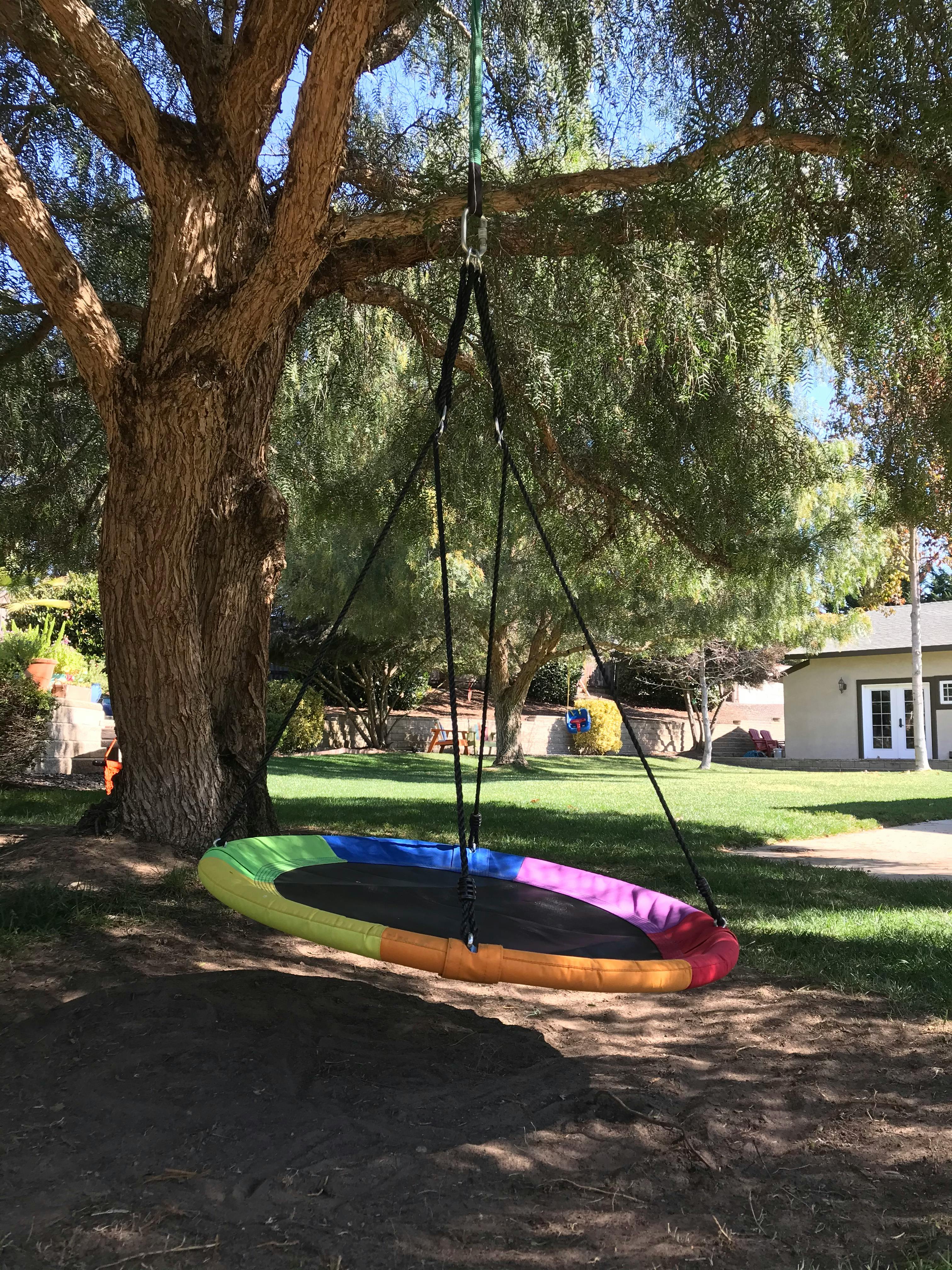 Colorful round swing hanging from a tree